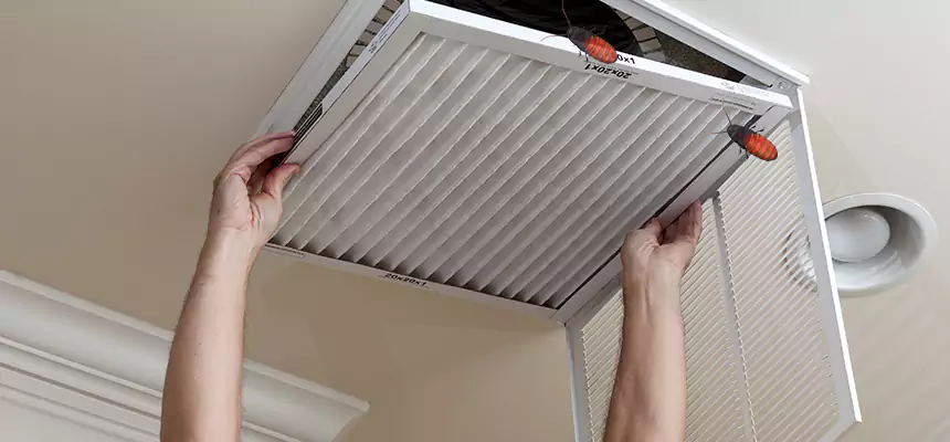 Preventive Cockroach-Proofing for Ducts in Smyrna