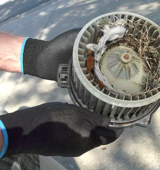 About Air Duct Mice Removal in Smyrna, GA