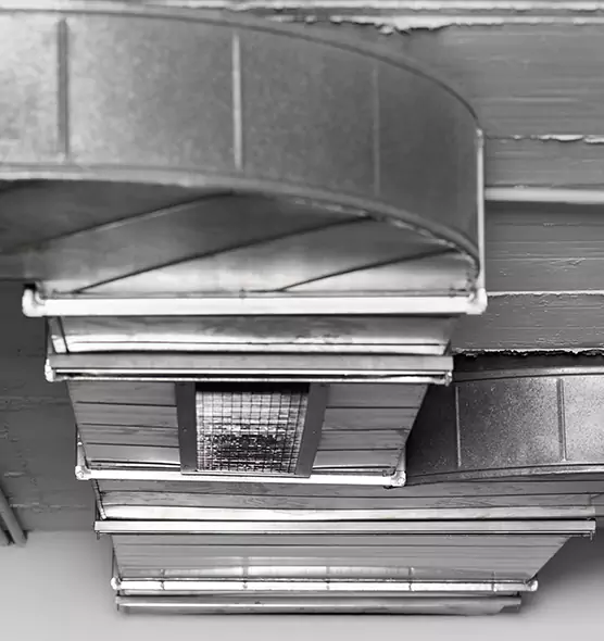 Professional Air Duct Pest Removal in Smyrna, GA