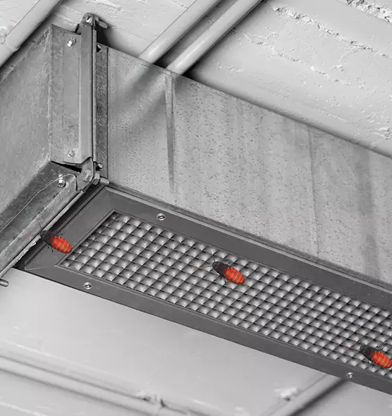 Affordable Insect Removal from Air Ducts in Smyrna, GA