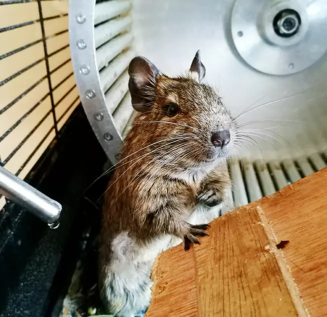 Why Homeowners & Businesses Trust Us Smyrna, GA?