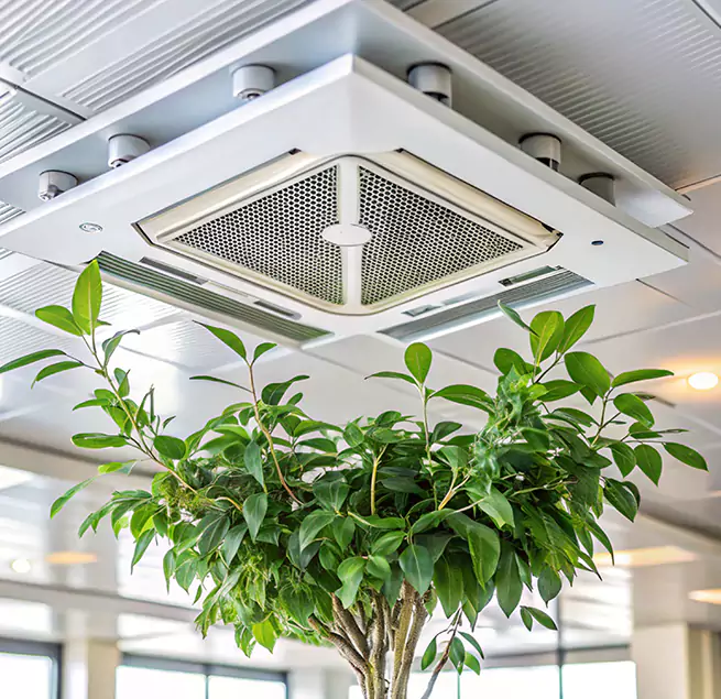 Why Homeowners & Businesses Trust Us in Smyrna, GA