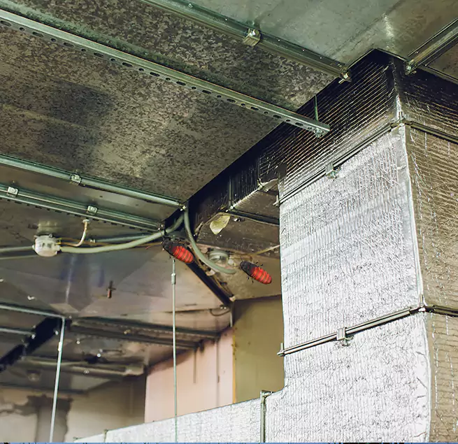 Why Homeowners & Businesses Trust Us Smyrna, GA?